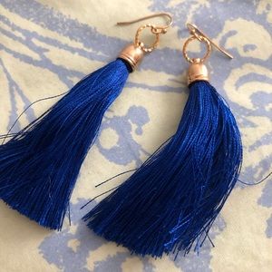 Blue Tassel Earrings